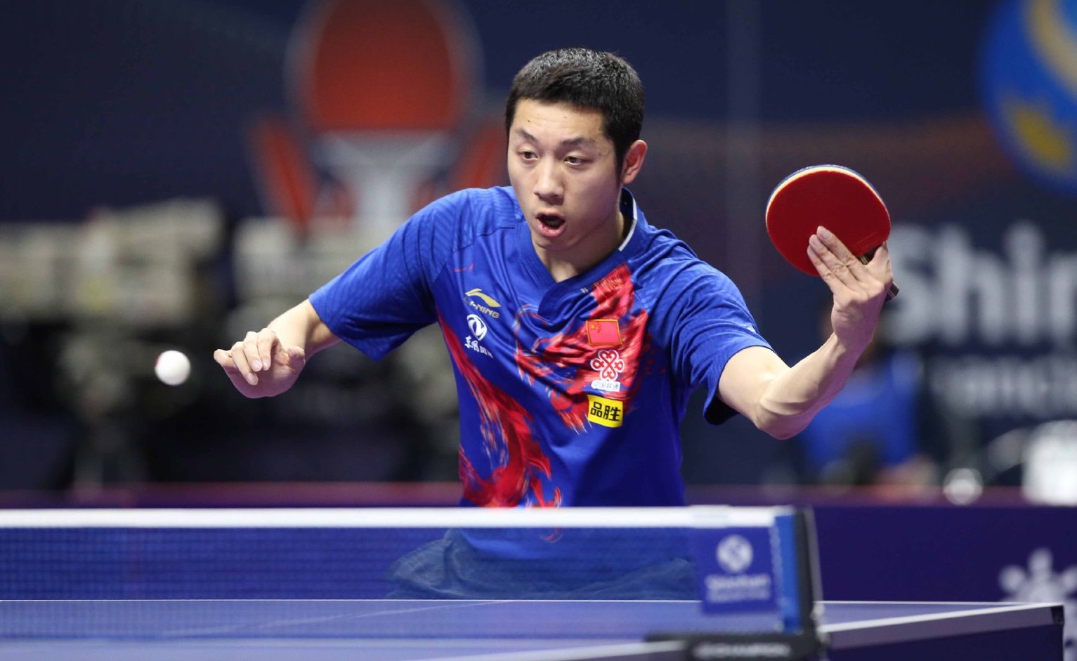 他们仍有很 他们仍有很